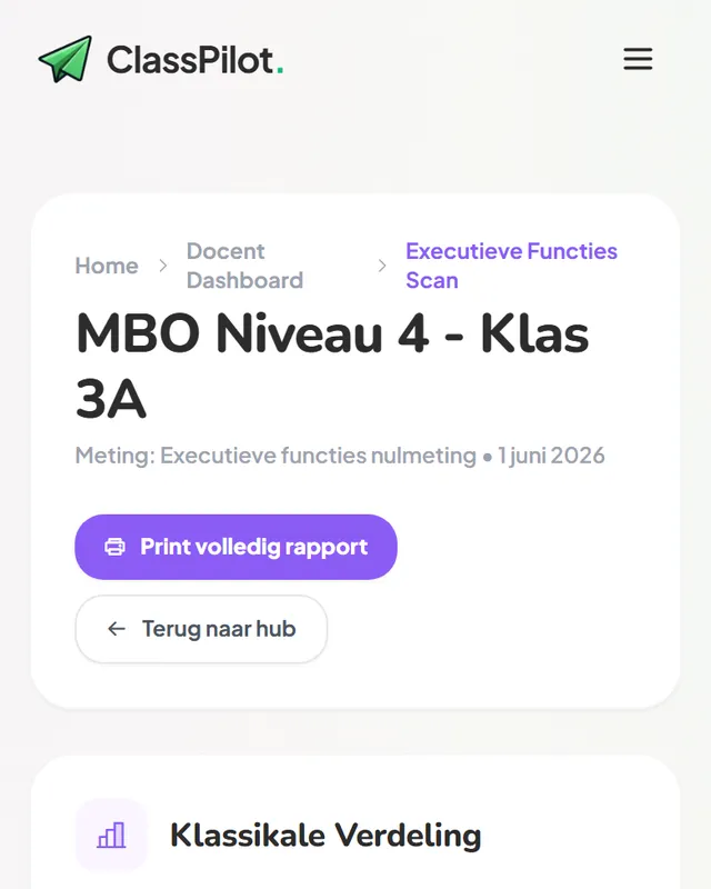 Klasrapport executieve functies